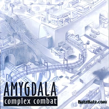 Complex Combat