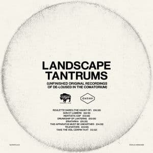 Landscape Tantrums (Unfinished Original Recordings Of De-Loused In The Comatorium)