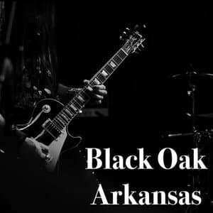 Black Oak Arkansas - King Biscuit Flower Hour FM Broadcast Reading Festival UK 24th April 1974.