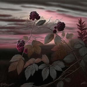 Dark Morning