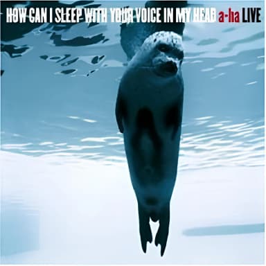 How can i sleep with your voice in my head (2CD)