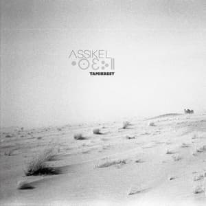 Assikel