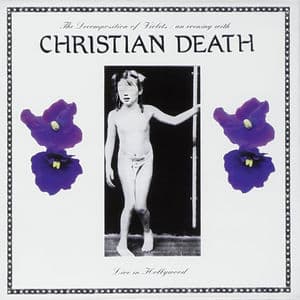 The Decomposition Of Violets