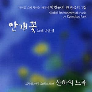 (한국인의 두뇌힐링 음악) 안개꽃 (박경규의 환경음악 1집)