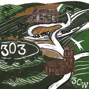 303