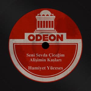 Seni Sevda Çiceğim / Alişimin Kaşları