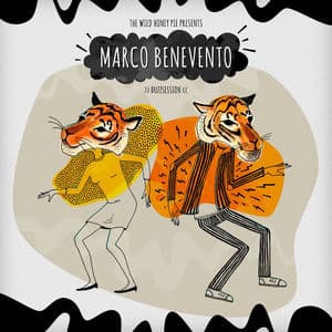 Marco Benevento: The Wild Honey Pie Buzzsession