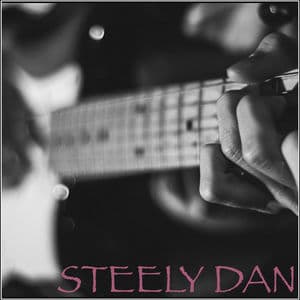 Steely Dan - WBCN FM Broadcast Wang Theater Boston MA 22nd July 2002 Part One.