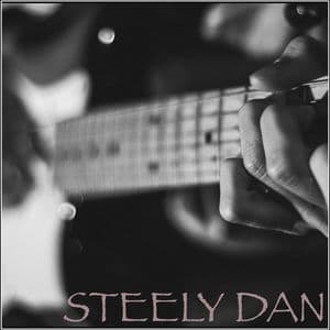 Steely Dan - WBCN FM Broadcast Wang Theater Boston MA 22nd July 2002 Part Two.