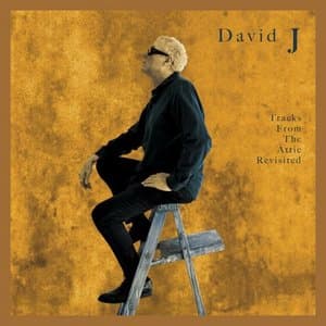 Tracks From the Attic Revisited (Revisited)
