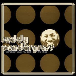 Somebody Loves You Back: The Mixes