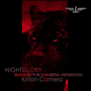 Nightglory Bonus