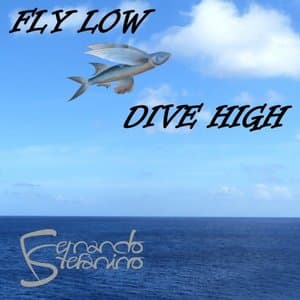 Fly Low, Dive High