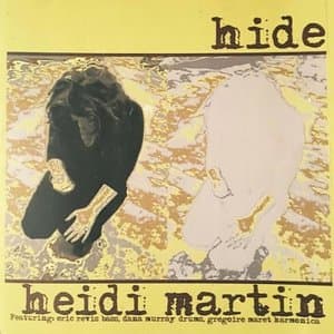 Hide