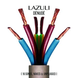 Dénudé (16 songs, naked and unplugged)