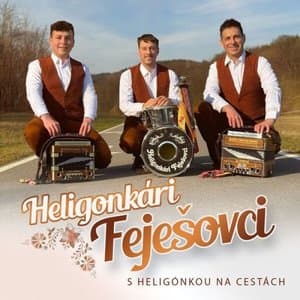 S heligonkou na cestach