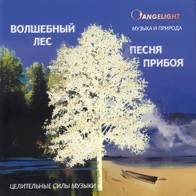 Песня прибоя. Волшебный лес.