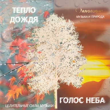 Тепло дождя. Голос неба.