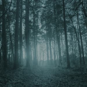 Blue Forest (Limited Edition)