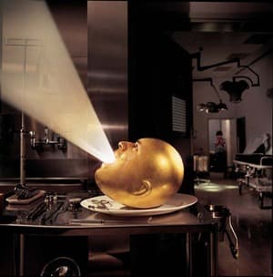 De-loused In The Comatorium