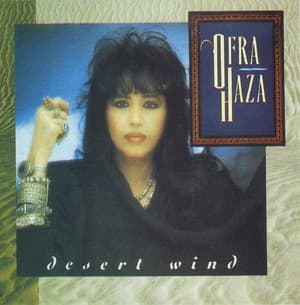 Desert Wind