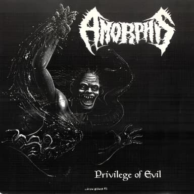 Privilege Of Evil