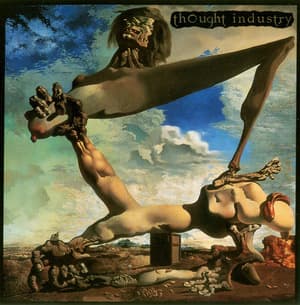 Songs For Insects