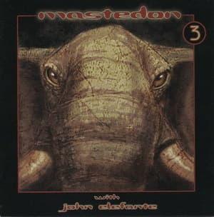 Mastedon 3