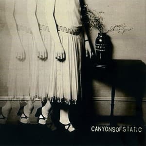 Canyons Of Static