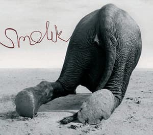 Smolik 3